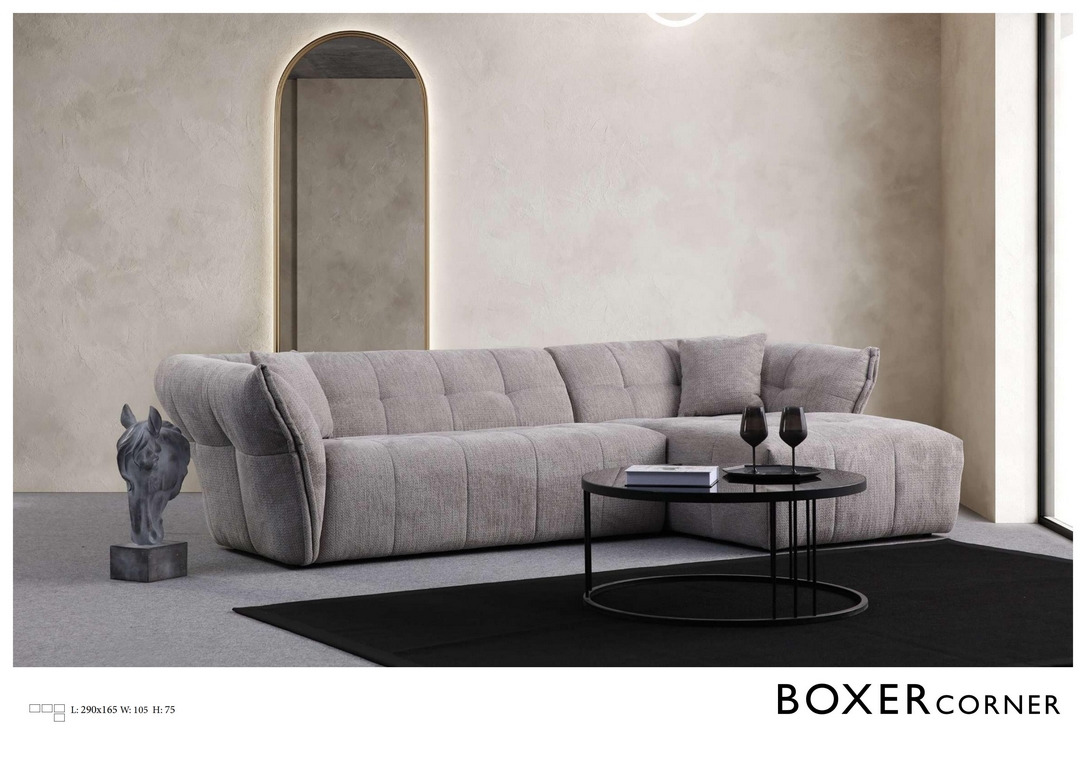 Art boxer 2 