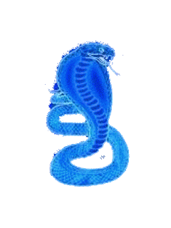 Naja-snake-blue-mine