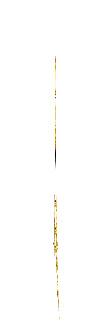 -00-animation-tour-eiffel-01