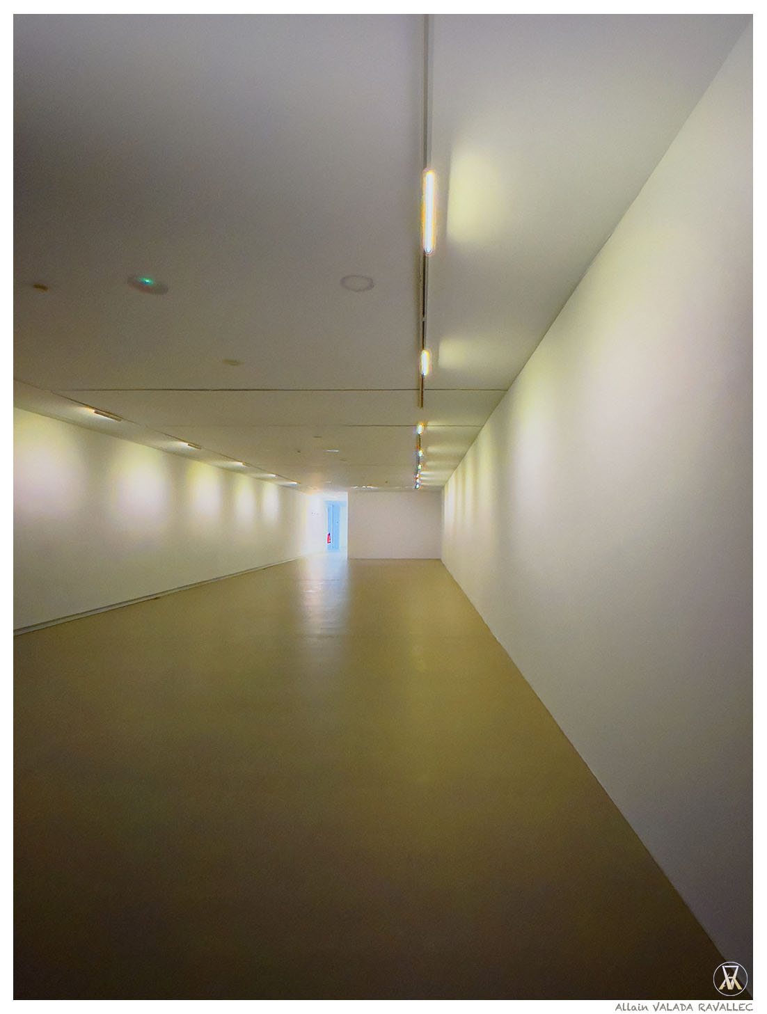 W img 3380