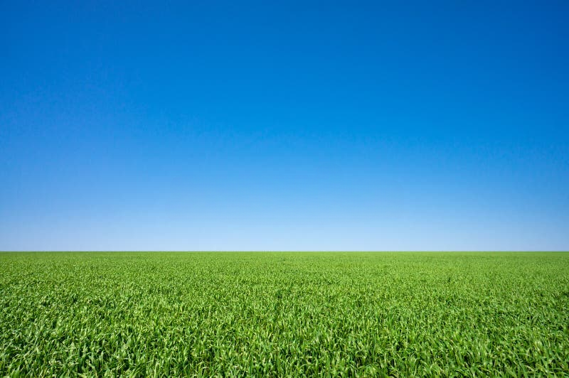 Landschaft14
