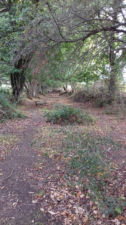 Chemin ancien