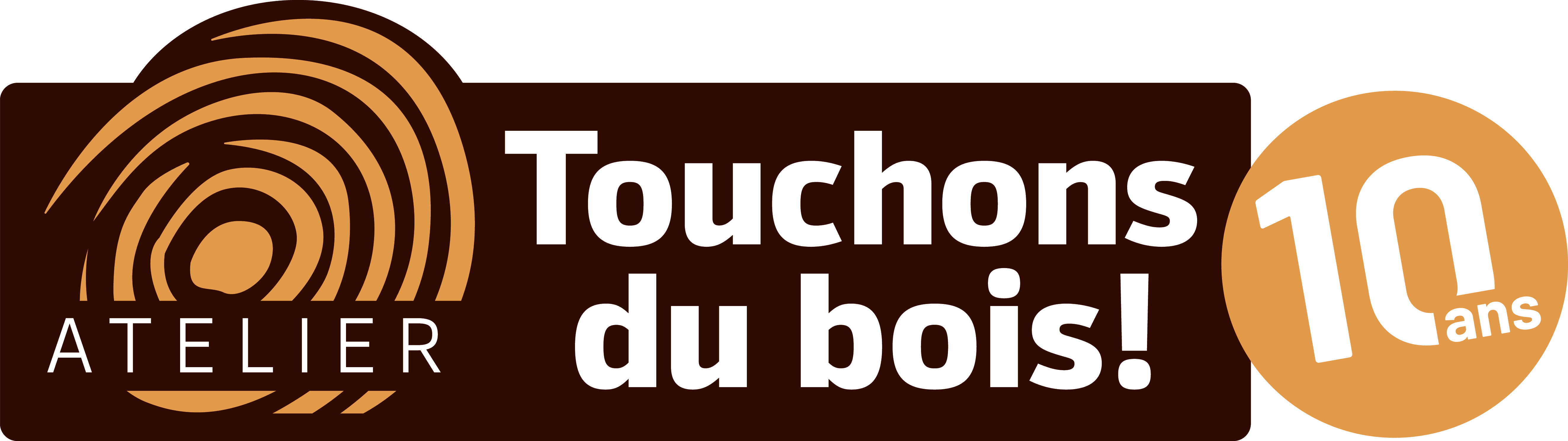 Logo tdb rectangle 10ans