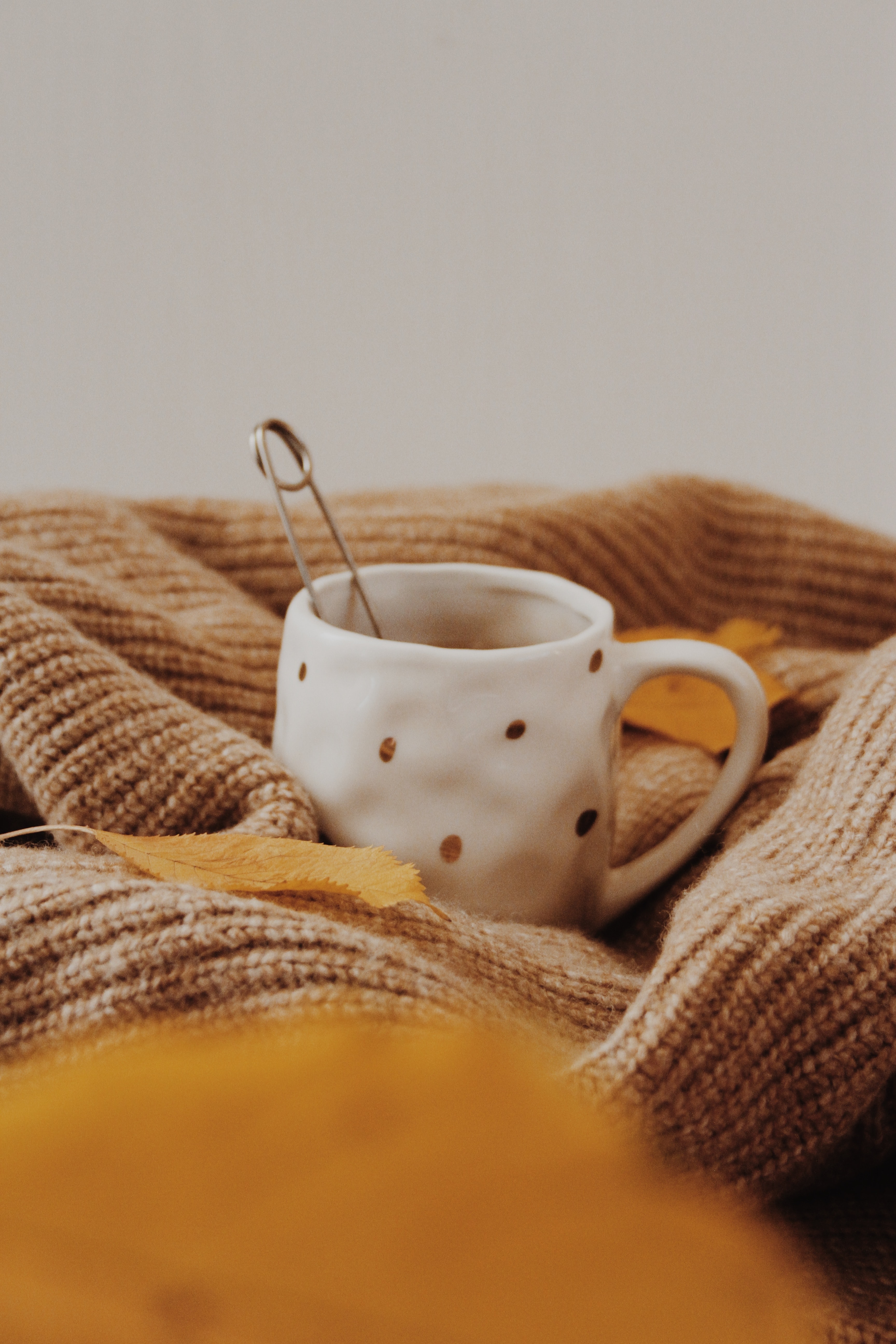Tanya-trukyr-Mzj7YnYDXPY-unsplash
