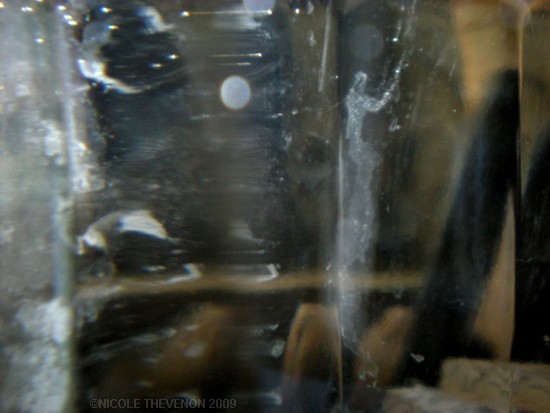 L atlantide 14