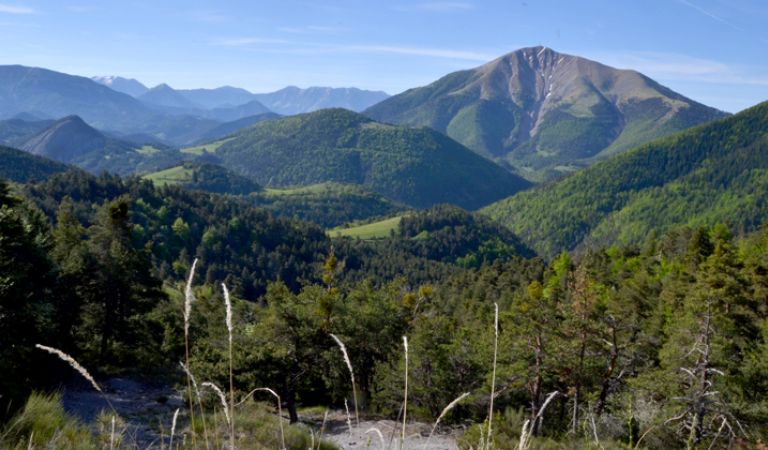 Les monges