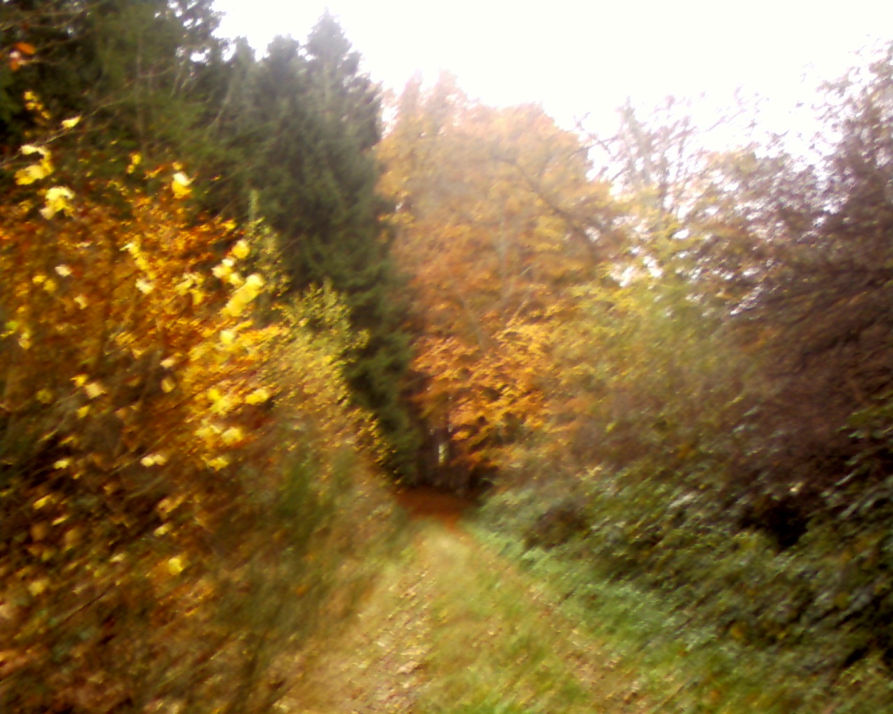 Photo0158