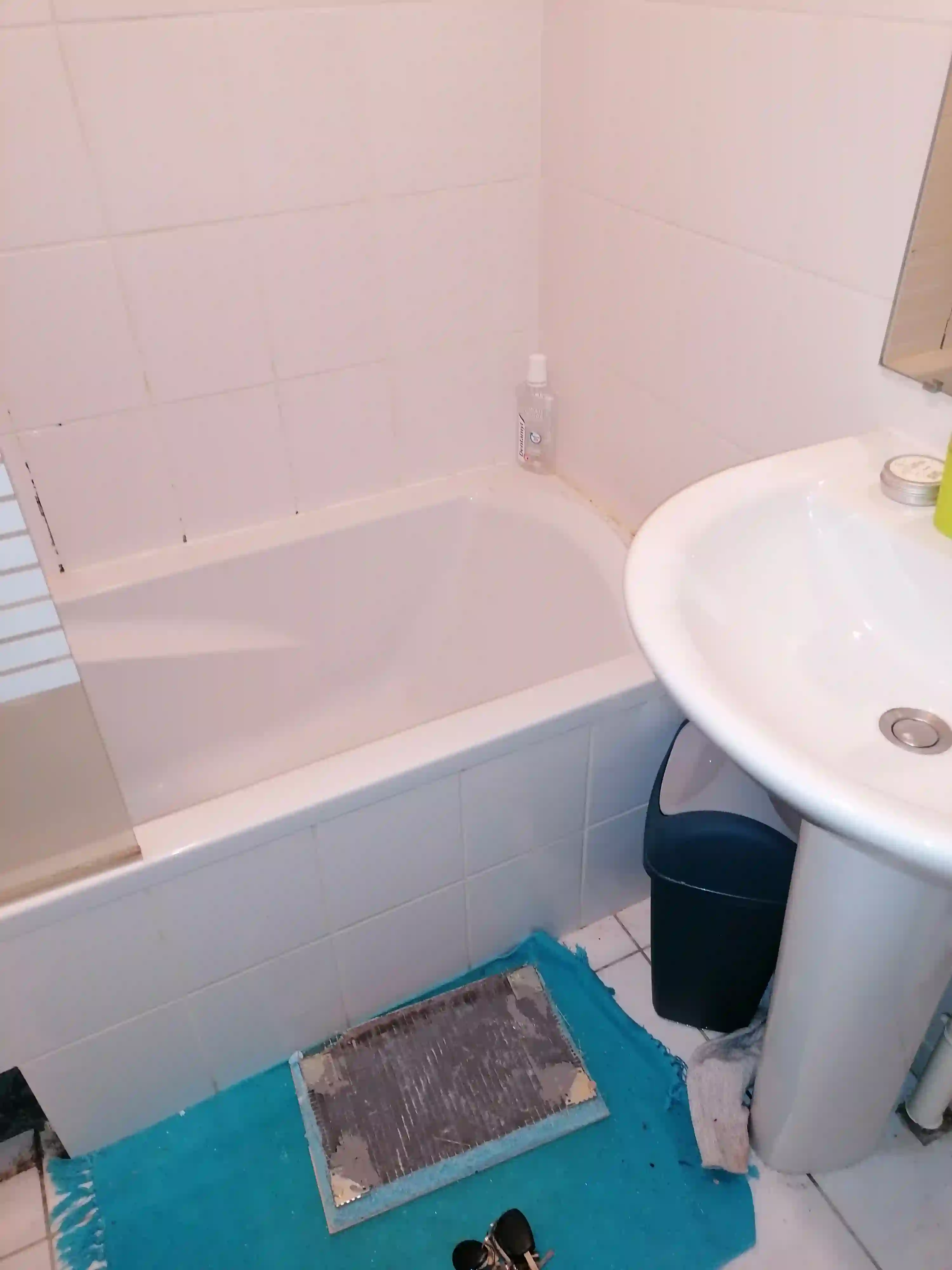 1 photo salle de bain avant demontage baignoire et lavabo a vertou ets mipe