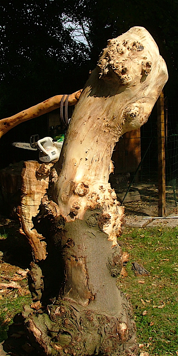 Dscf4044