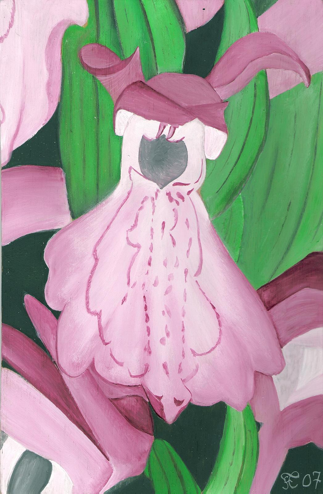 Orchis perso