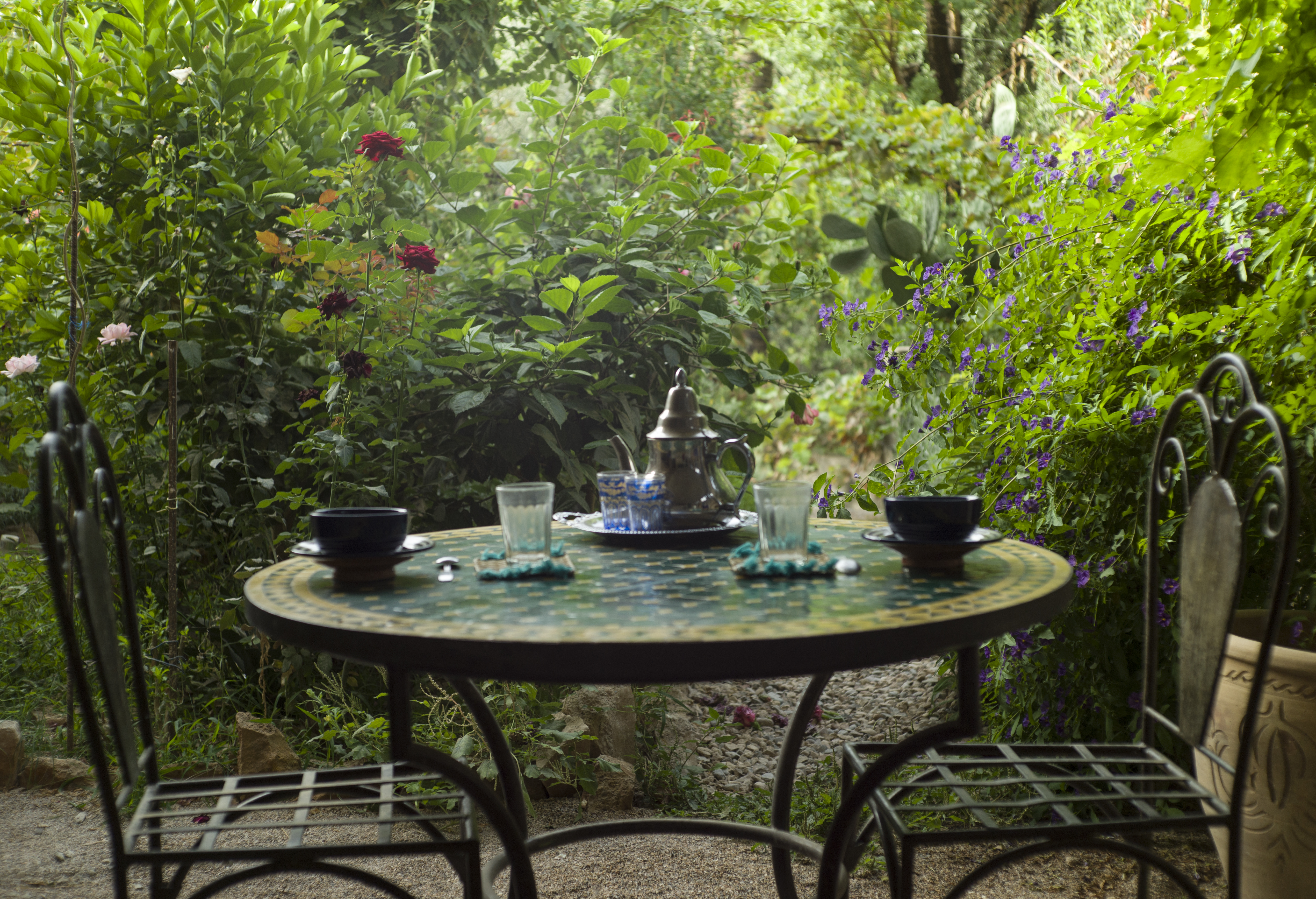 Garden tea 1