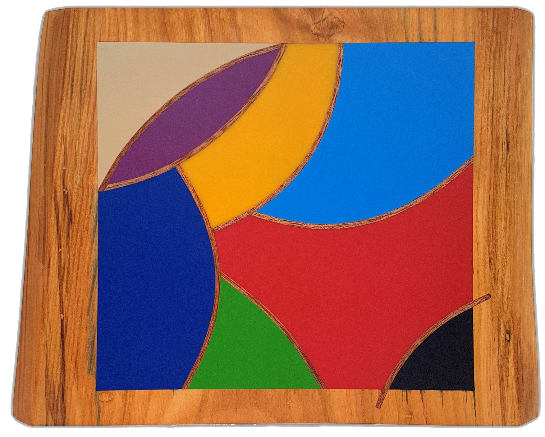 Paxillus par David Vereecken : composition artistique Selestica en mosaïque bois-résine aux formes imbriquées.

