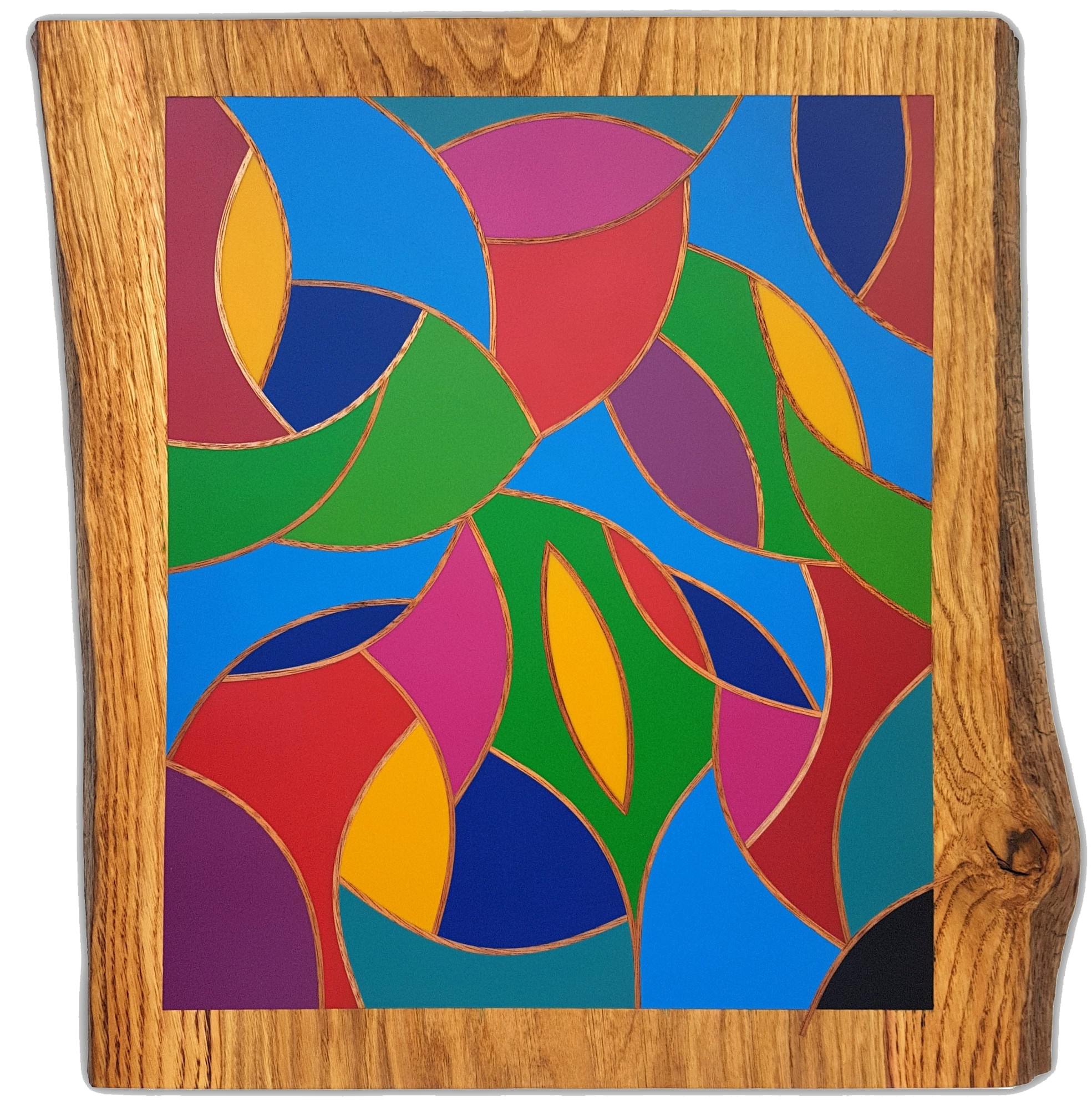 Hopla par David Vereecken : création Selestica en résine colorée avec formes imbriquées sur fond blanc.

