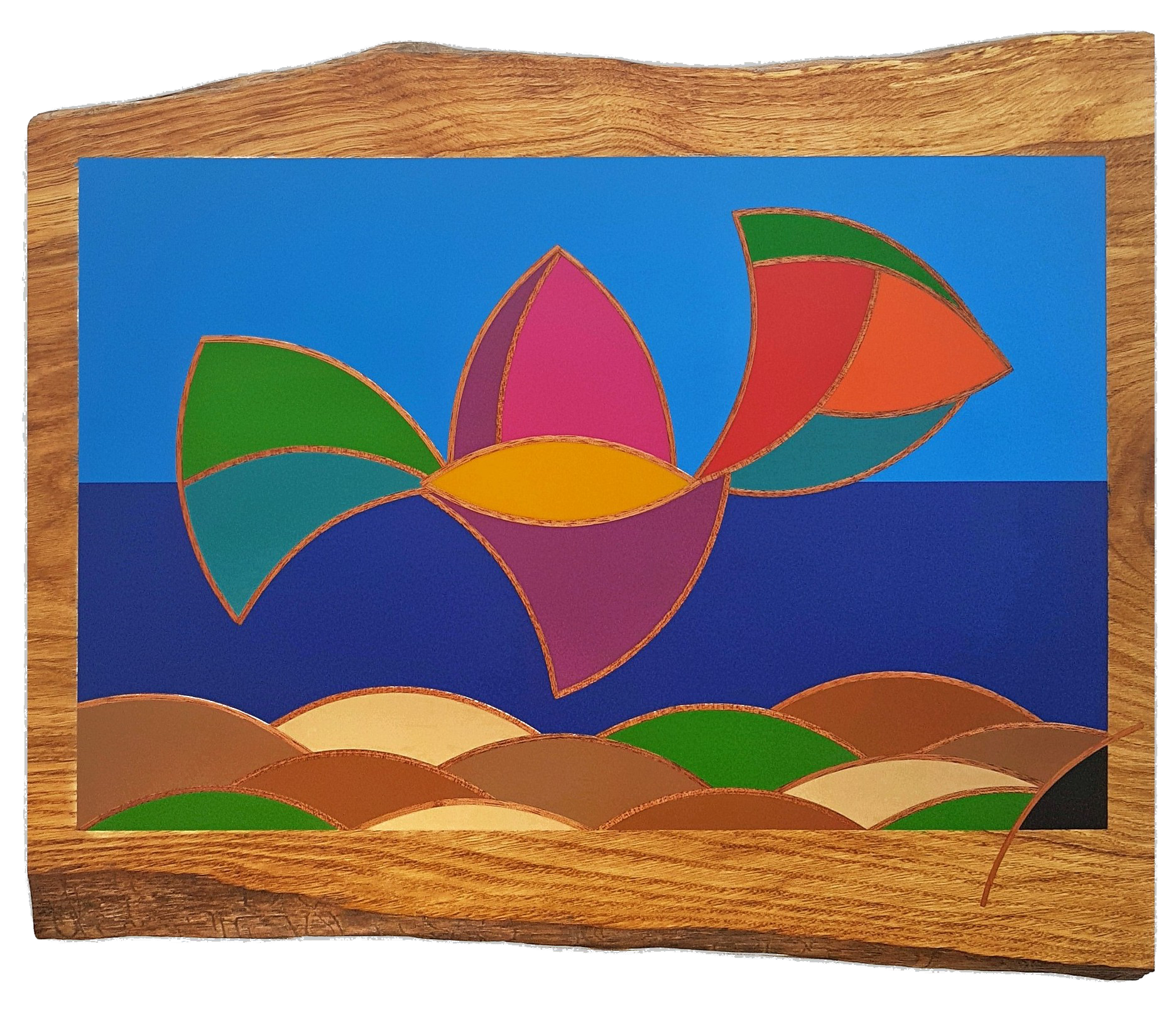 Falco par David Vereecken : oiseau paisible illustré sur fond coloré, art contemporain Selestica.

