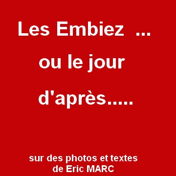 2017 Embiez 1