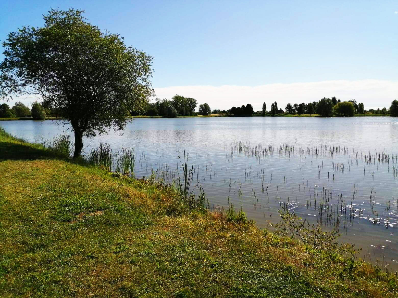 Etang poulaines