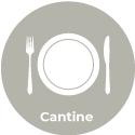 Cantine3