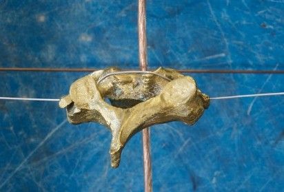 Agata collection lambert