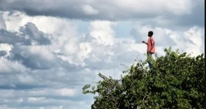 Capture d ecran le printemps