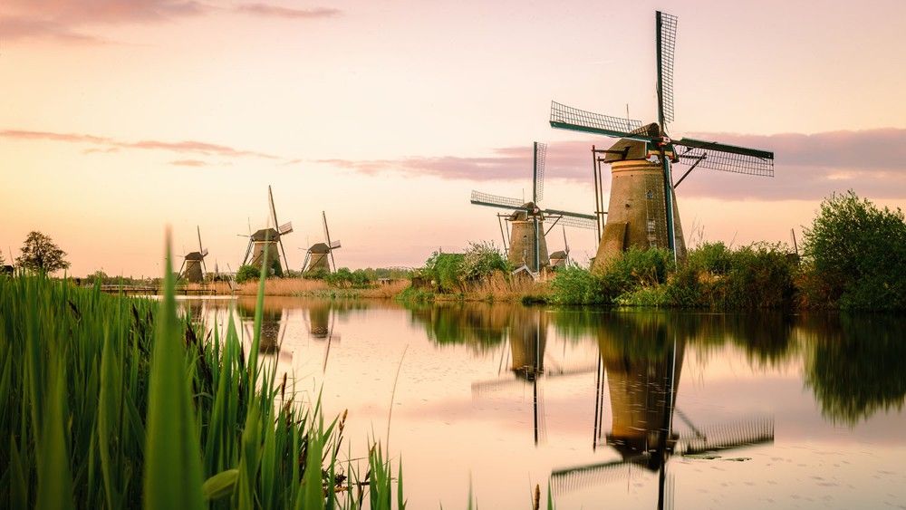 Photo-de-moulins-peche-des-carnassiers-pays-bas-dutch-fishing-connection