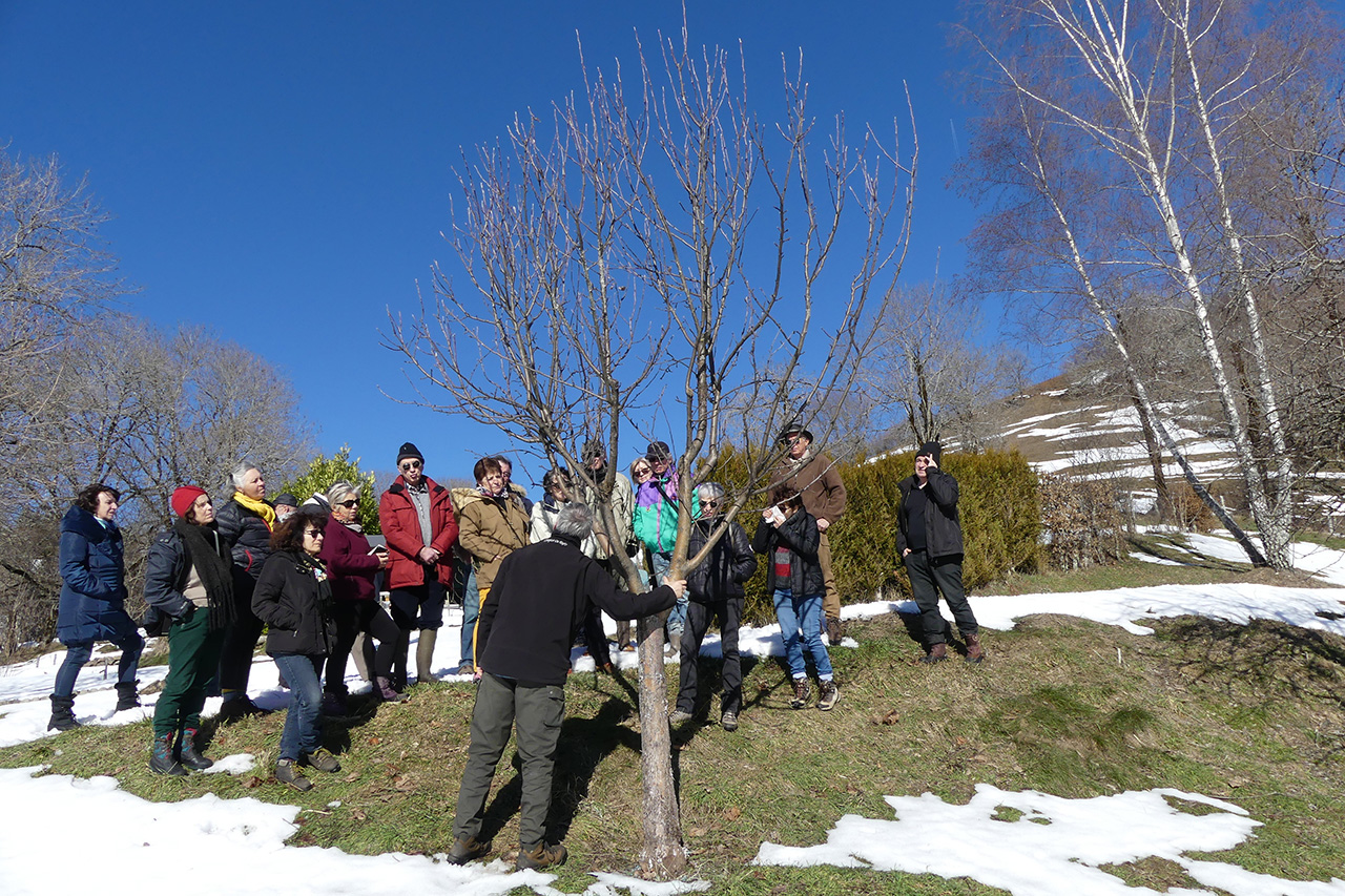 Sortie "vergers" à Saint-Clément