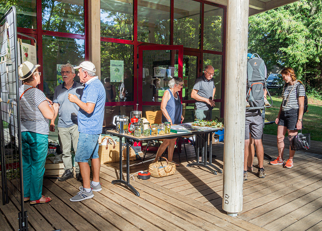 Fête de la Plantelière 2023