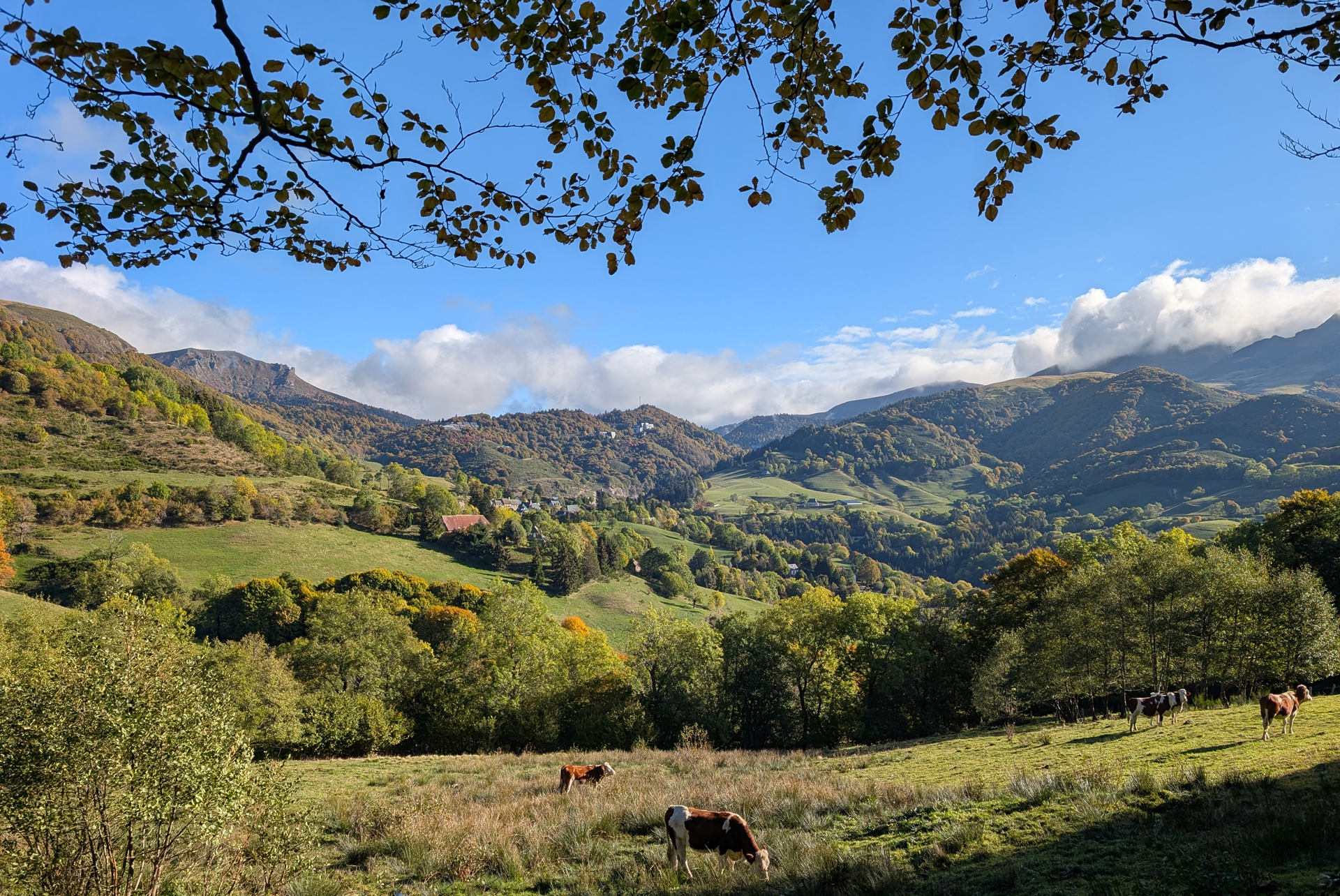 Rando d'automne 2026