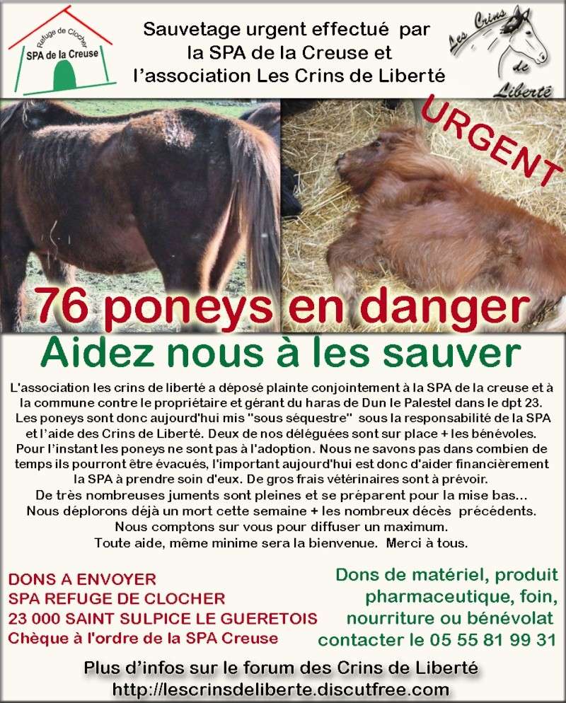 URGENT : UNE CINQUANTAINE DE PONEYS EN DANGER DE MORT 