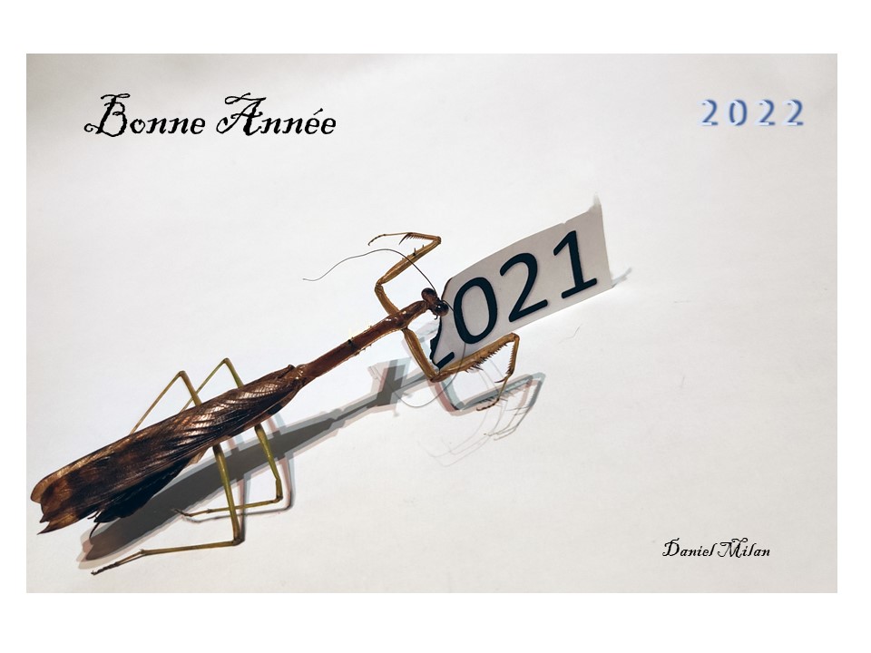 Bonne-annee-2022-de-Daniel-Milan