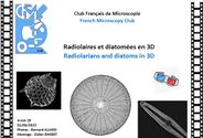 2023-06-01-Radiolaires-et-diatomees-3D-B-A-143Mo