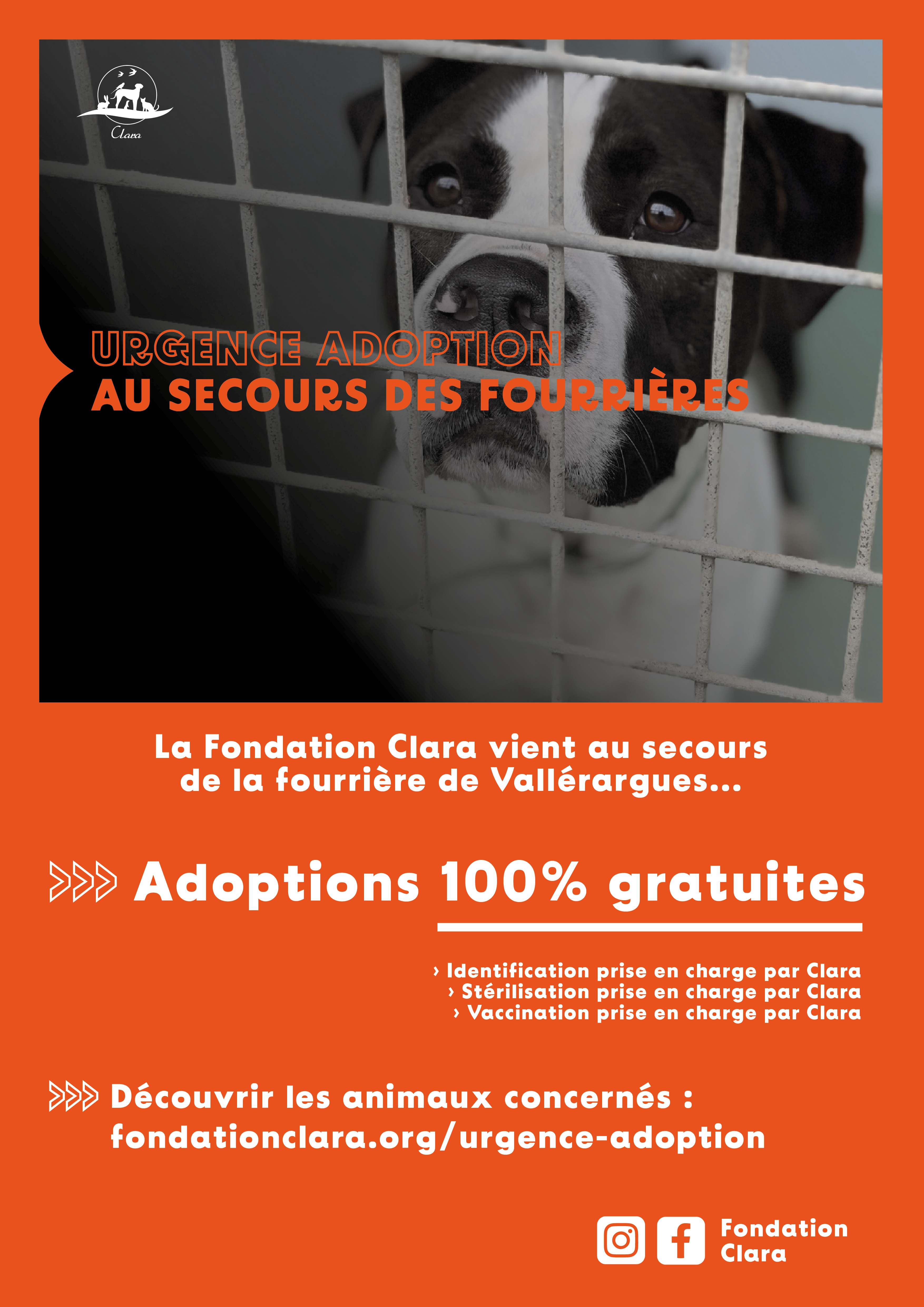 Affiche-Urgence-Adoption