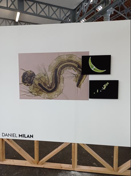 2025-04-Expo-DM-3