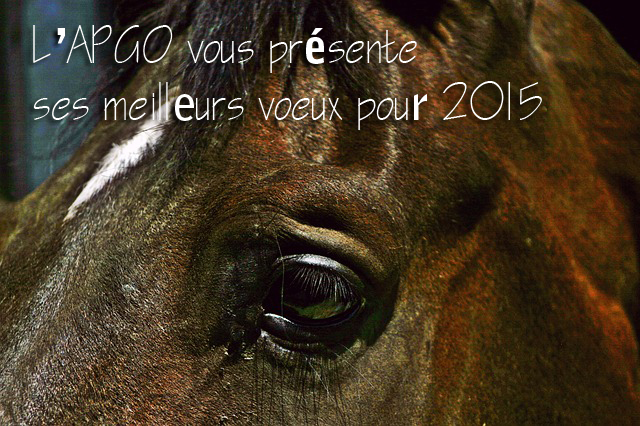 BONNE ANNEE 2015 !!!