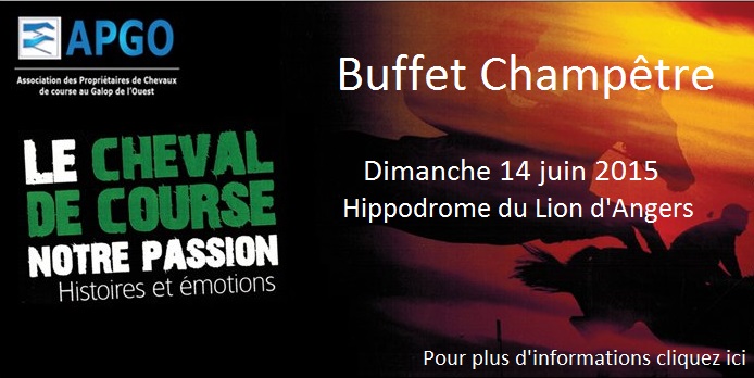 14 juin 2015 - Buffet Champêtre au Lion d'Angers
