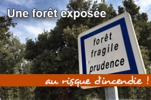 Brûlage des déchets verts interdit