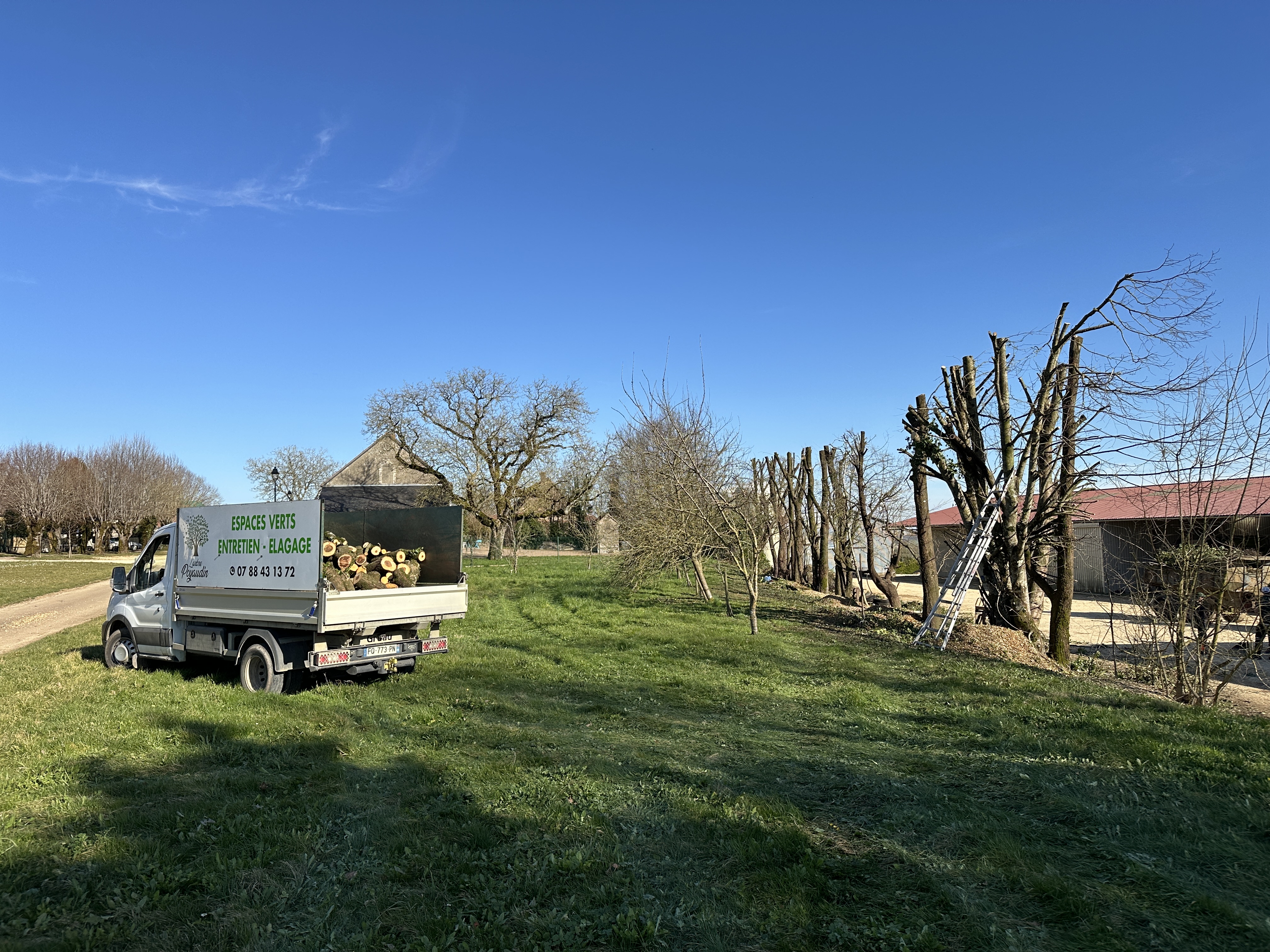 Élagage à Perreuse