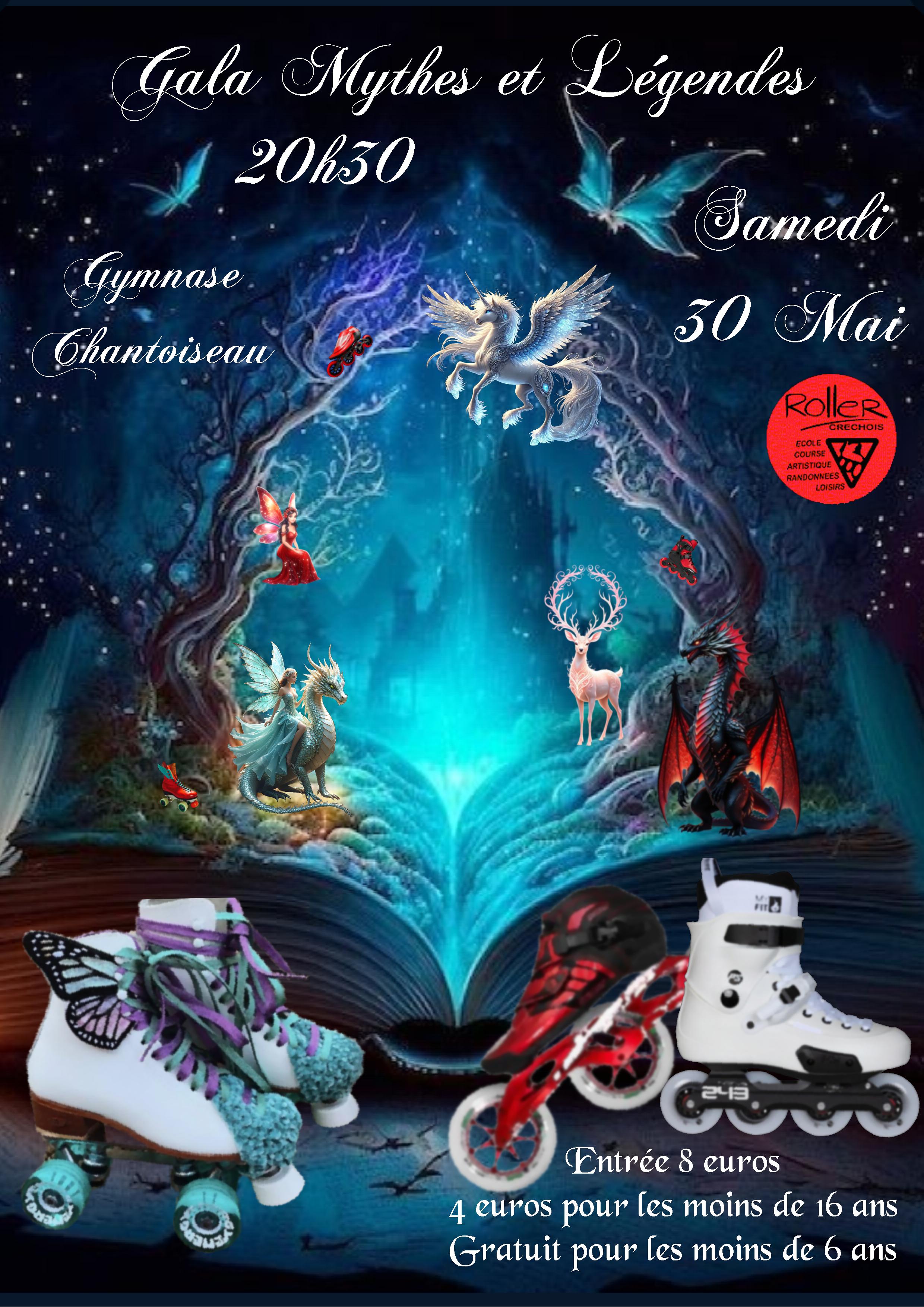 Affiche gala 2026