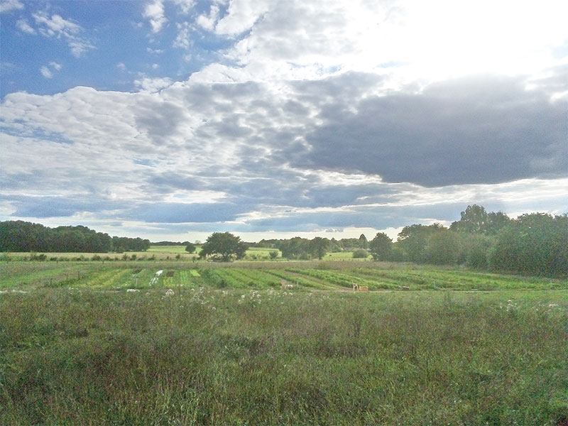 Potager-Hautes-Landes