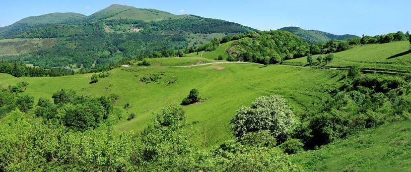 Panorama-du-grand-ballon-dans-les-vosges
