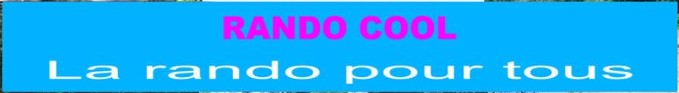 Page-accueil-site-web