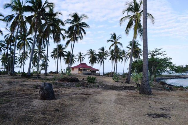Dsc 0060