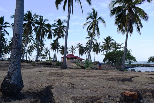 Dsc 0082