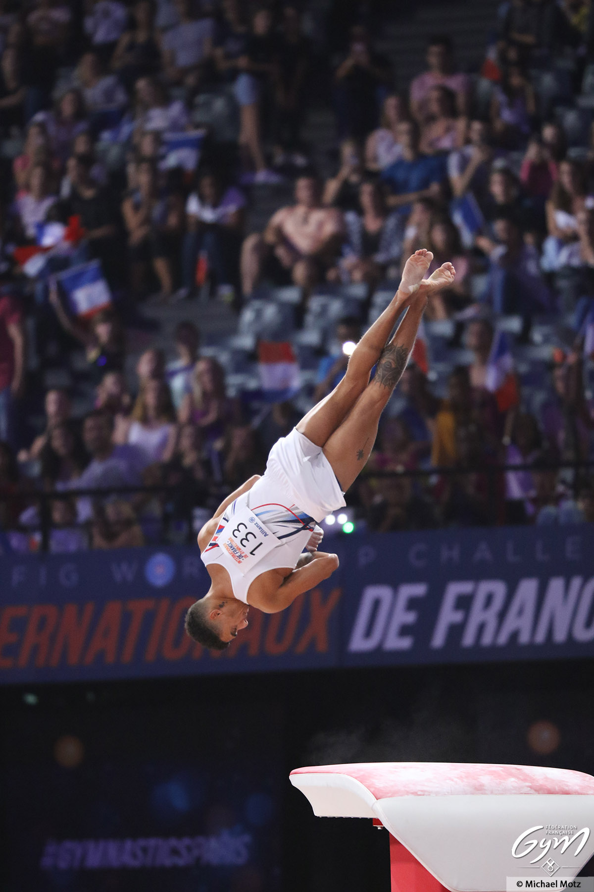 GAM Saut LorisFrasca