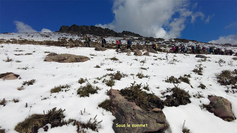 Img9590