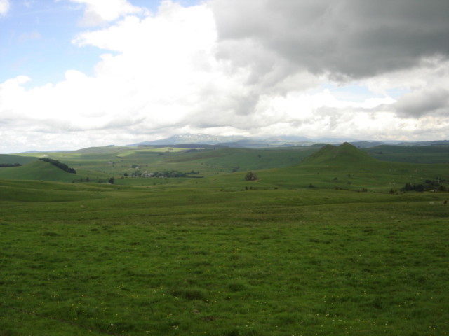 Dsc00114