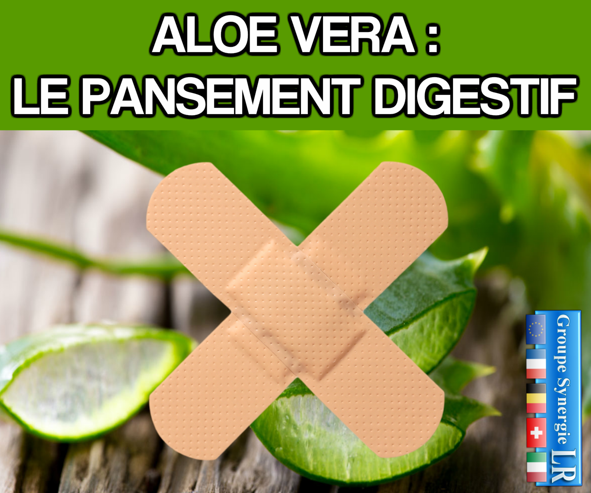 Post av pansement