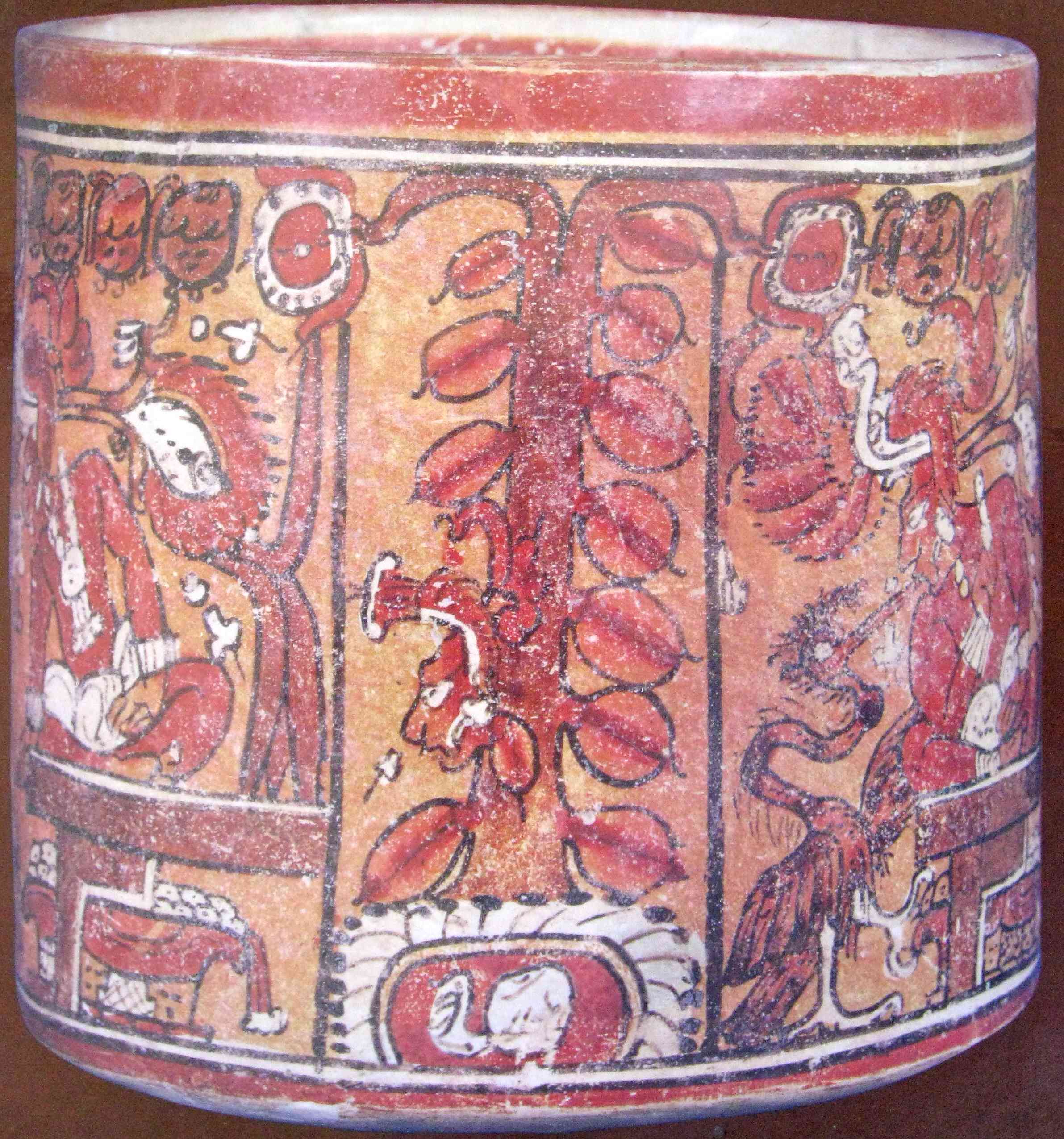 Le cacaoyer maya