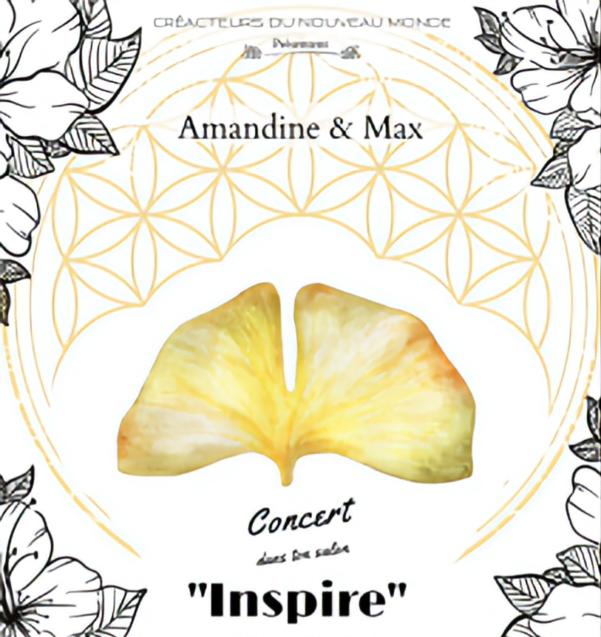 F1jmy affiche tournee inspire 1 