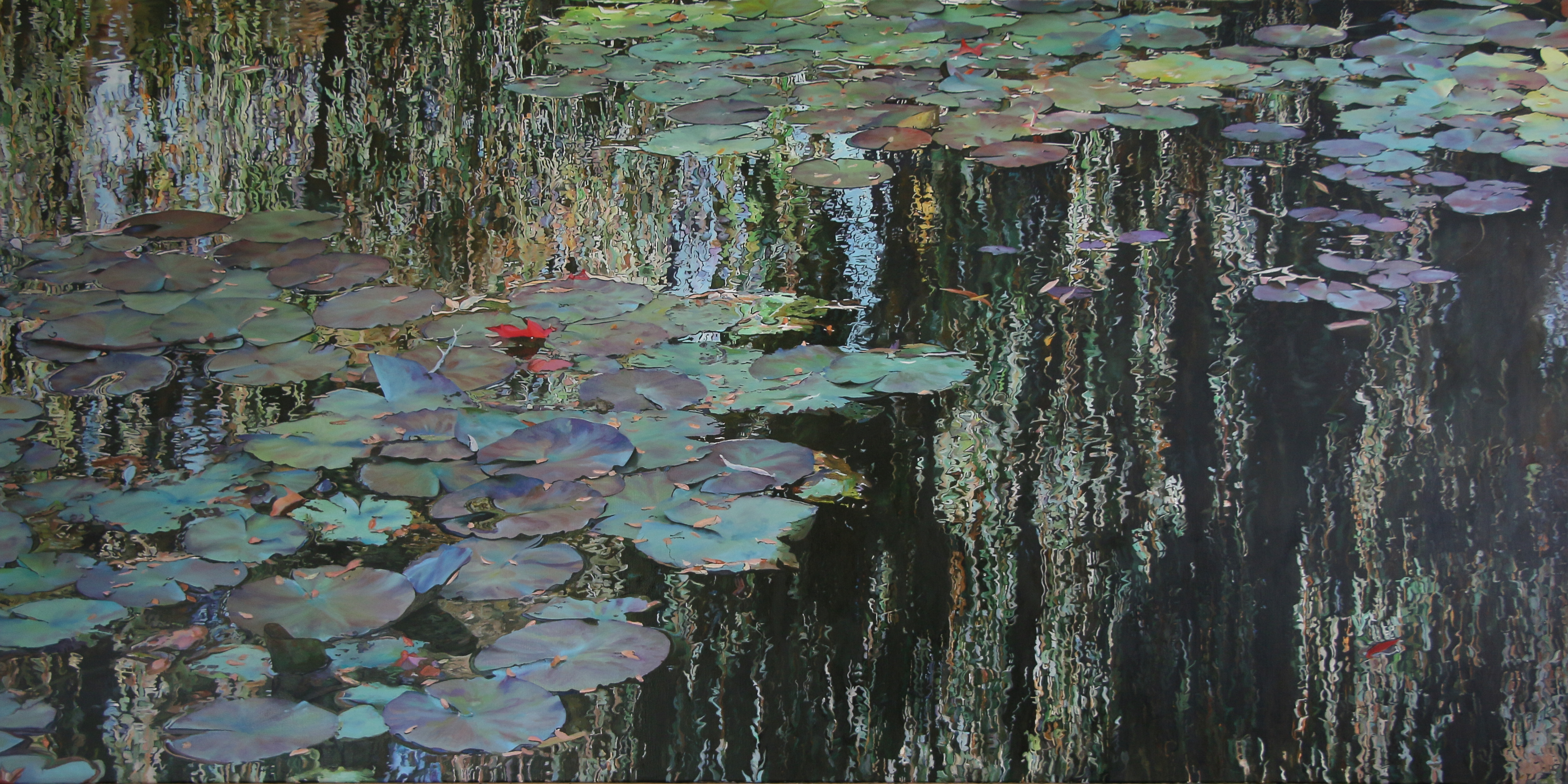 Nympheus luminansis laurence saunois 2 
