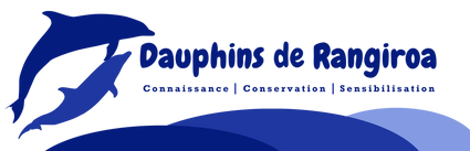 Logo ddr